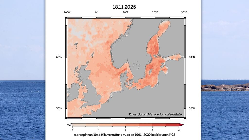1811, merenpinnan lämpötila, Danish Meteorological Institute