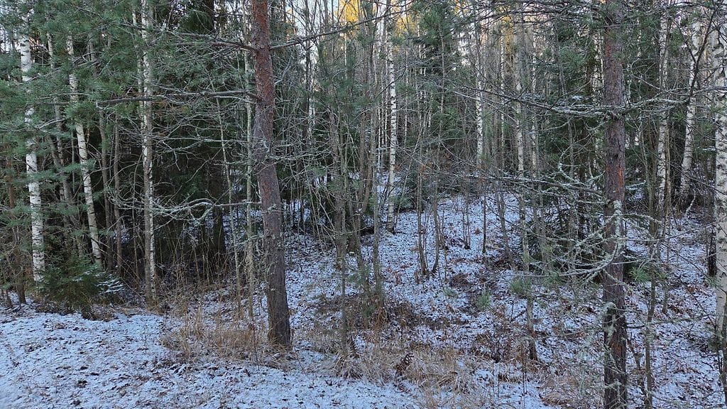 Nurmijärvi tappo Haavistontie (1)