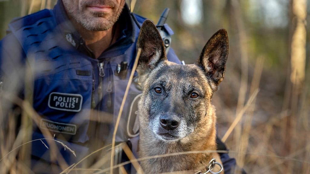 Kuvassa vuoden poliisikoira 2025 Hero ja sen ohjaaja, vanhempi konstaapeli Pekka Ruohonen.