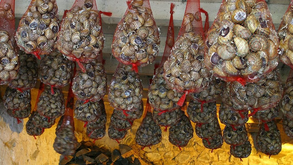 Kuvituskuvassa etanoita ranskalaisella maatilalla.