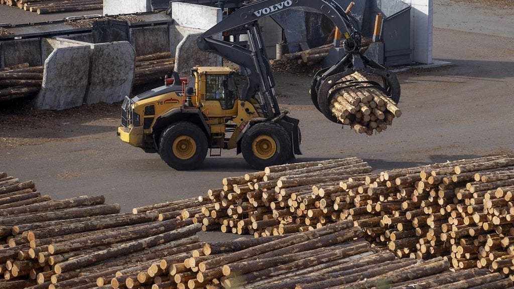 Kuvassa Metsä Groupin saha Raumalla syyskuussa 2025.