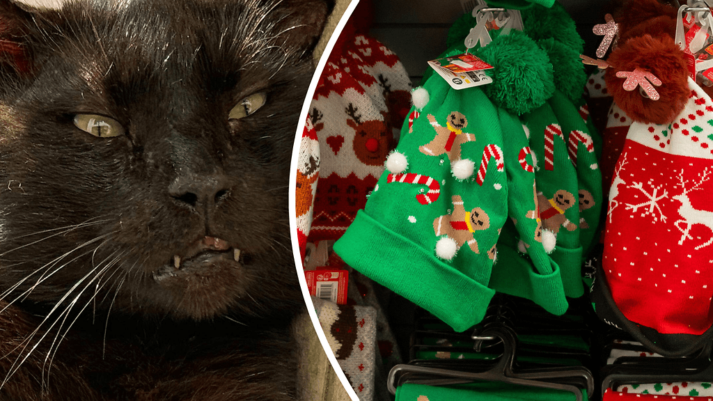 Pörröisen hirviön uhka muistutti maaseudun väkeä kovan työn merkityksestä.