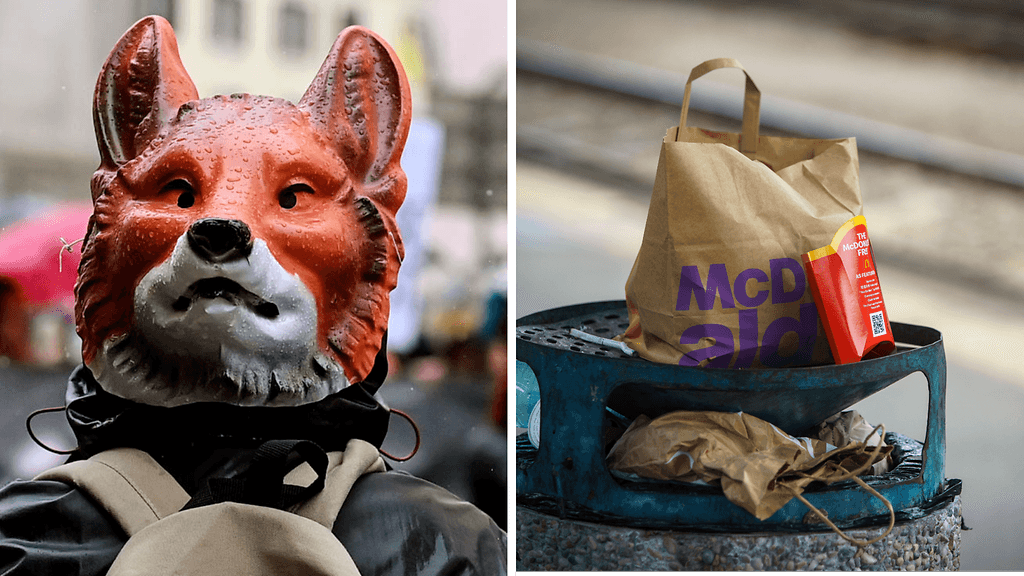 Ketut ovat alkaneet viihtyä enenevissä määrin ihmisten keskuudessa.