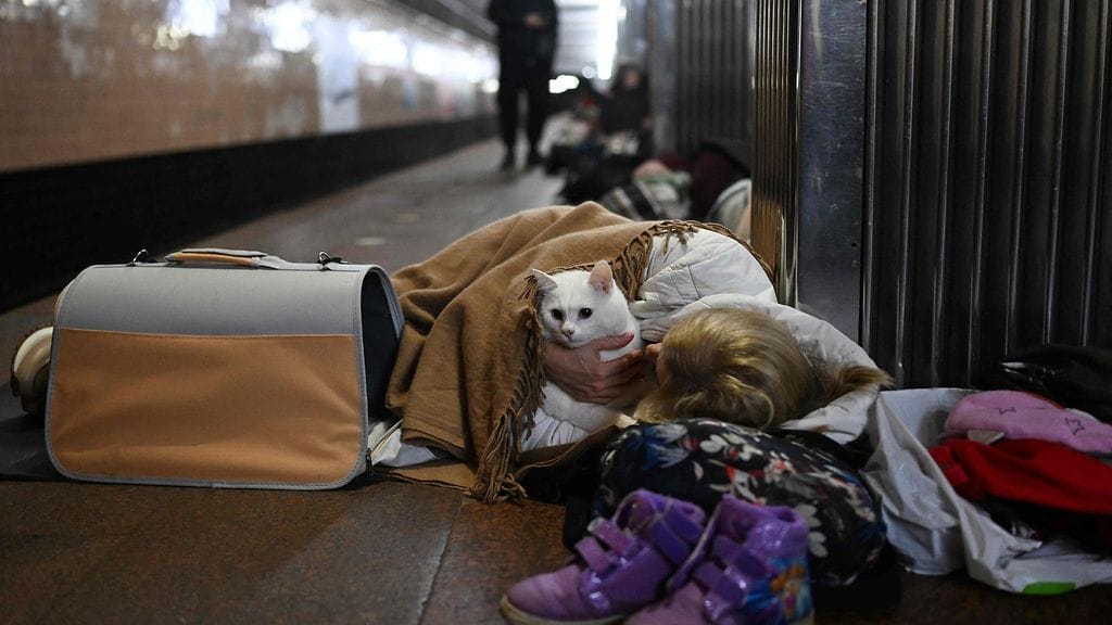 Kuvituskuvaa: Nainen suojautui kissansa kanssa Kiovan juna-asemalle Venäjän pommituksia pakoon marraskuussa 2025.