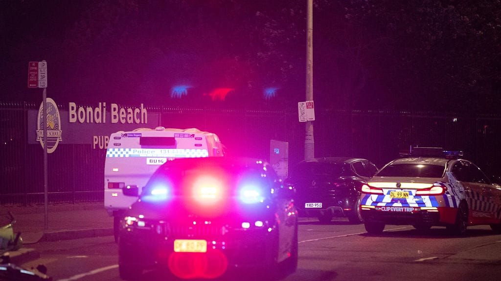 AOP Bondi Beachin ampuminen, poliisi