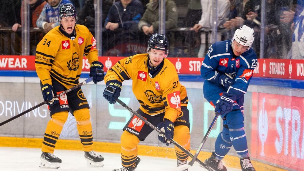 Lukko vieraili tiistaina Zugin kotiluolassa.