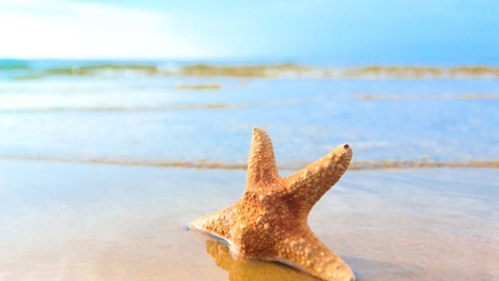 Jos haaveilet unelmarannasta, vieraile näillä!