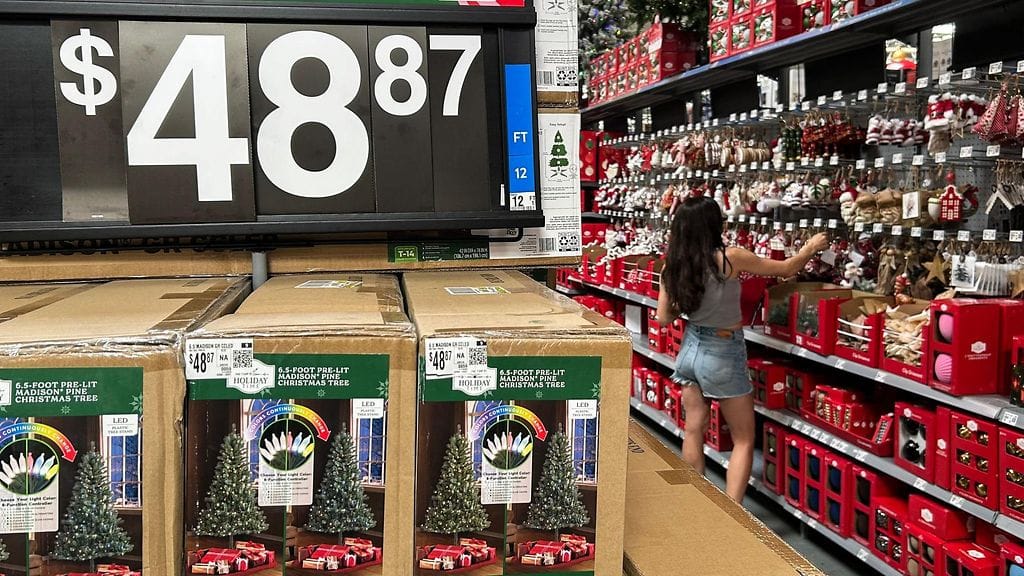 Asiakas tutki joulukoristeita kaupassa Houstonissa Texasissa 18. marraskuuta. Donald Trumpin hallinnon asettamat tuontitullit ovat nostaneet erityisesti Kiinasta tuotujen koristeiden hintoja Yhdysvalloissa.
