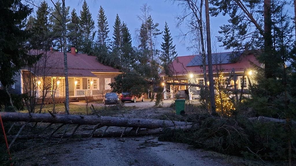 Hannes Kalajoki puu myrsky