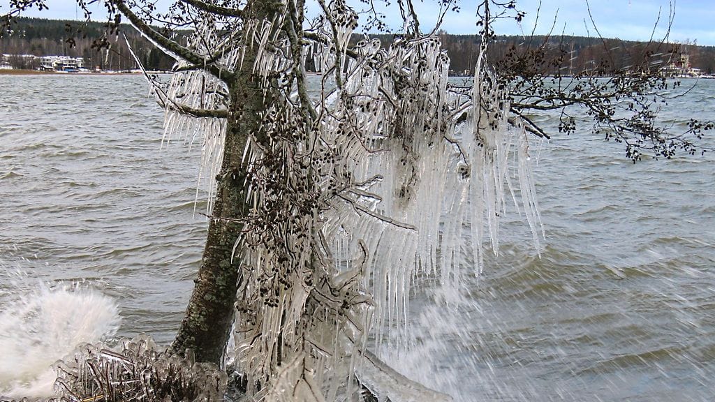 Kalevi Elmala kuvasi luonnon jäätaidetta Lahdessa 29. joulukuuta 2025.