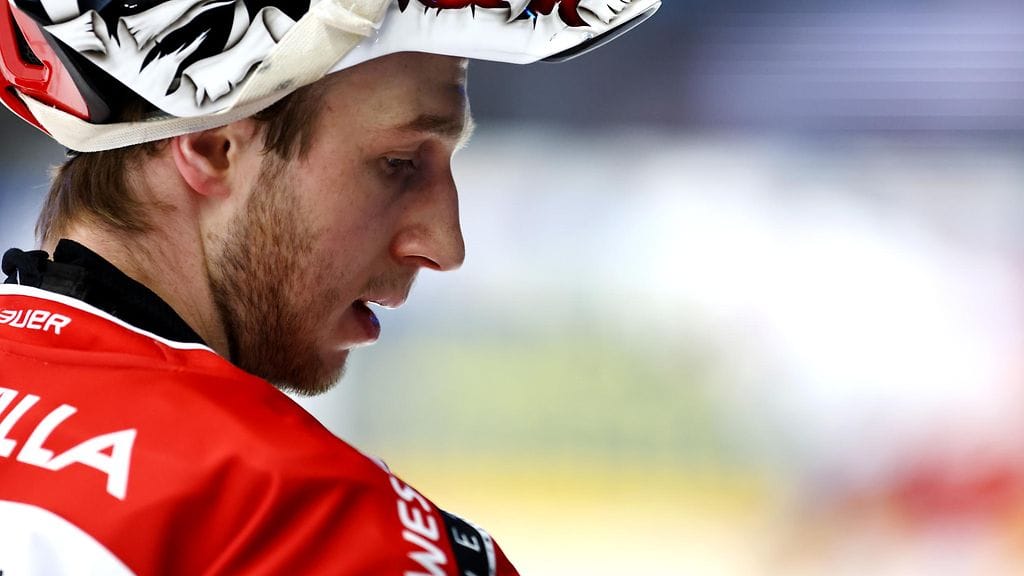 Jan Bednar on ollut Porin Ässien avainpelaaja kuluvalla kaudella.