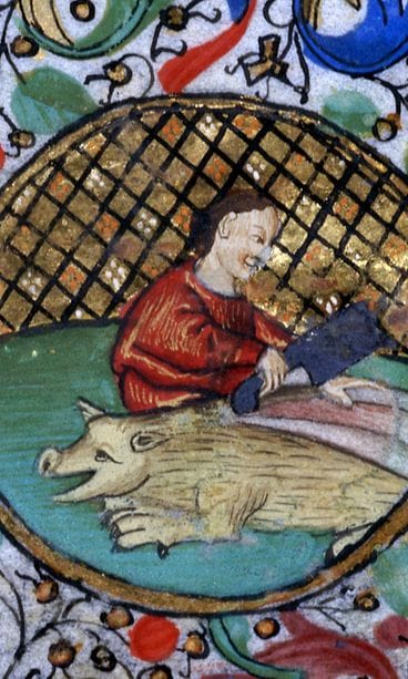 AOP Sikojen teurastus, marraskuu, rukouskirjasta, jonka todennäköisesti tilasi Jean de Montchenu, Saint Antoine en Viennoisin kanonikko, Ranska, 1400-luku.