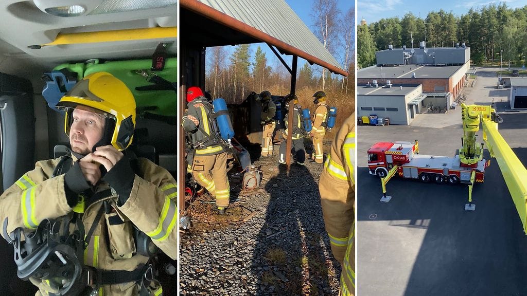 1901 Palomies-Harri Harri Minkkinen 01