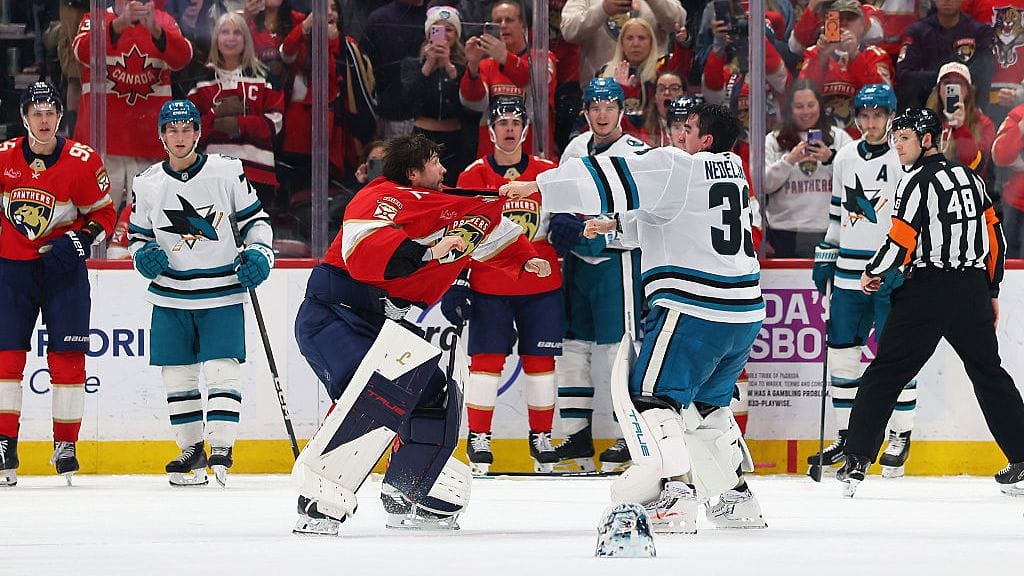 Sergei Bobrovski ja Alex Nedeljkovic mätkivät toisiaan paljain nyrkein.