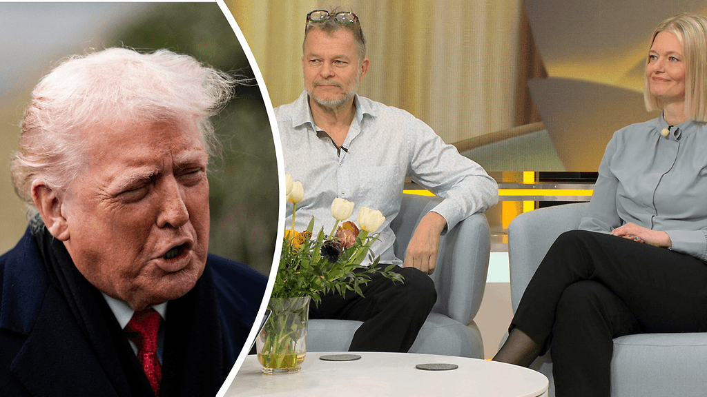 trump ja husun asiantuntijat