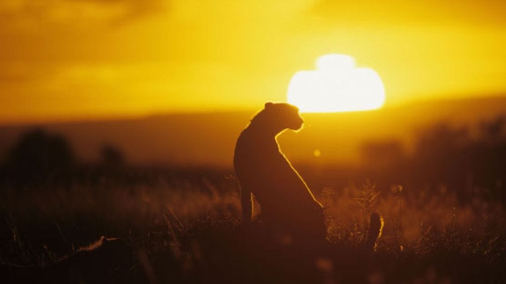 Suuri Afrikka tarjoaa matkailijalle elämyksiä.