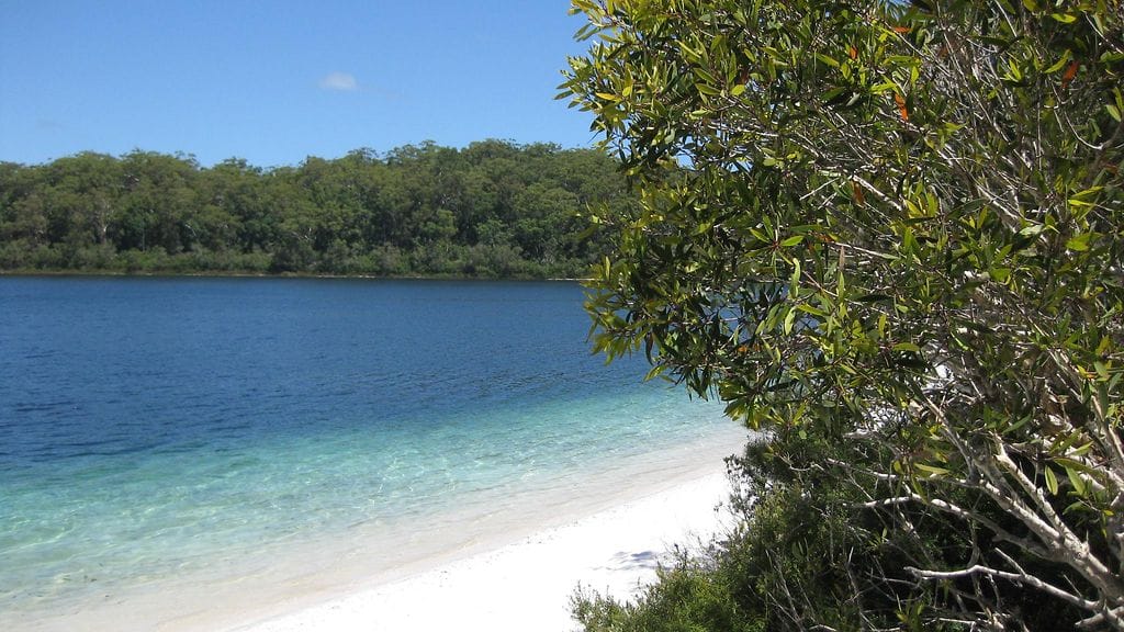 AOP Fraser island, K'gari, Australia