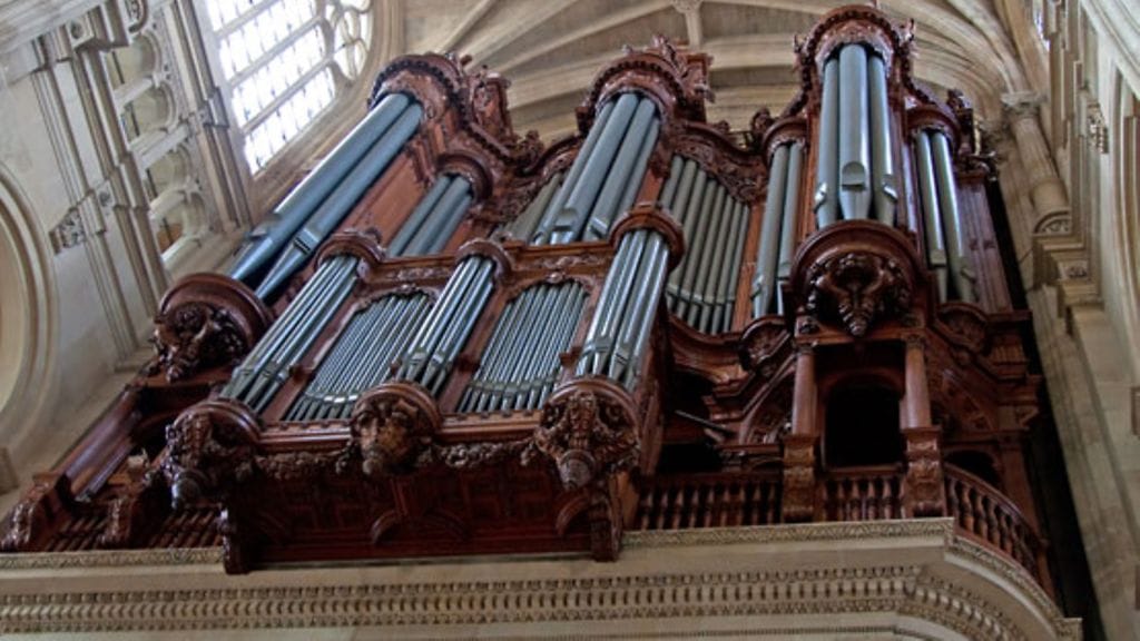 Amusikko ei havaitse sävelkorkeuksien eroja.