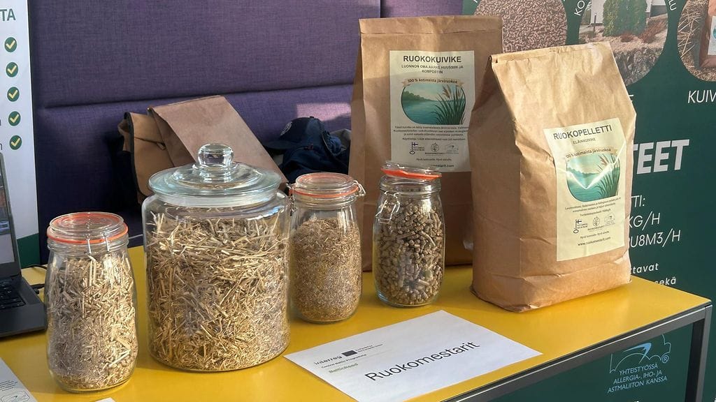 Ruoko, järviruoko, ruokotuotteita, Ruokomestarit