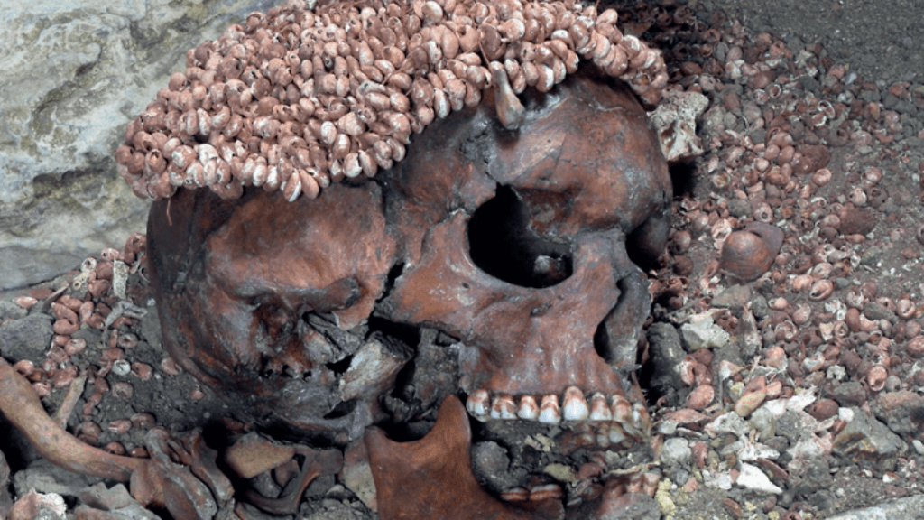 Kivikaudella kuolleelle teinipojalle oli asetettu upea päähine, joka oli tehty simpukan kuorista ja peuran hampaista.