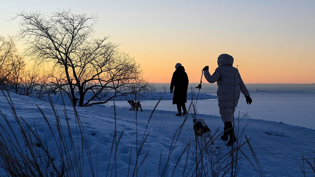 LK 31.1.2026 Kaksi koiranulkoiluttajaa talvisessa maisemassa Kaivopuiston rannassa Helsingissä 30. tammikuuta 2026.