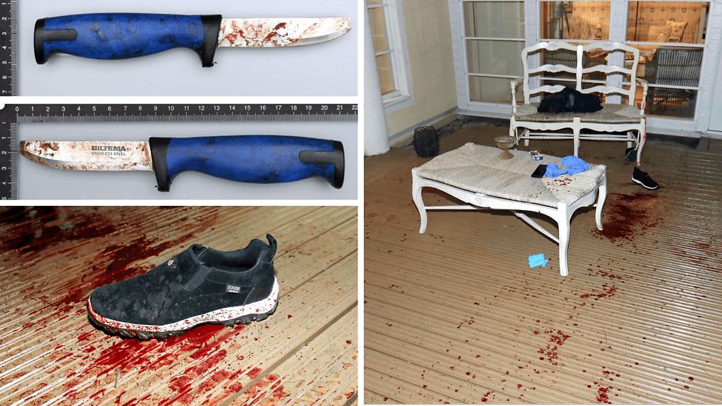 Espoon miljonäärimurha kollaasi