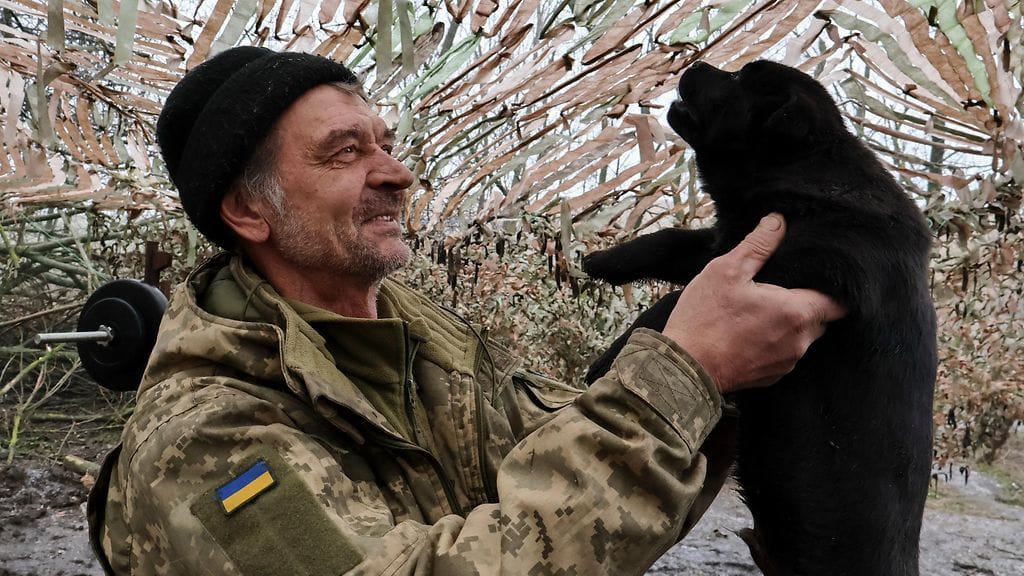 Ukrainan asevoimien julkaisemassa kuvassa 65. erillisen mekanisoidun prikaatin sotilas leikkimässä koiranpennun kanssa Zaporizhzhjassa 7. helmikuuta.