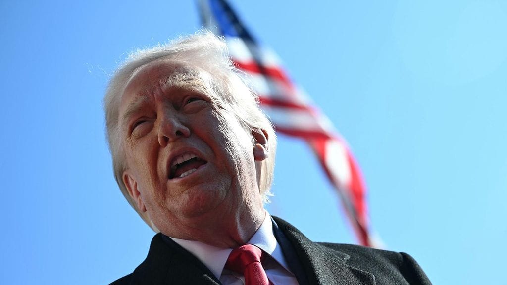 Perustuslaki ei anna presidentille minkäänlaista oikeutta määritellä vaalien toteuttamistapaa.