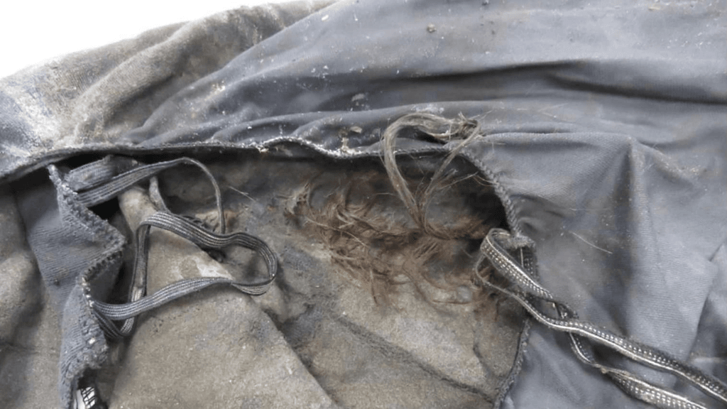 Luumäki tappo Hiuksia uhrin pään ympäriltä löydetyssä penkinsuojaimessa