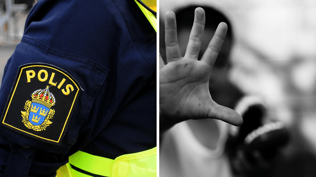 Puskasta löytynyt kovalevy johdatti poliisin salaisen pedofiiliringin jäljille.