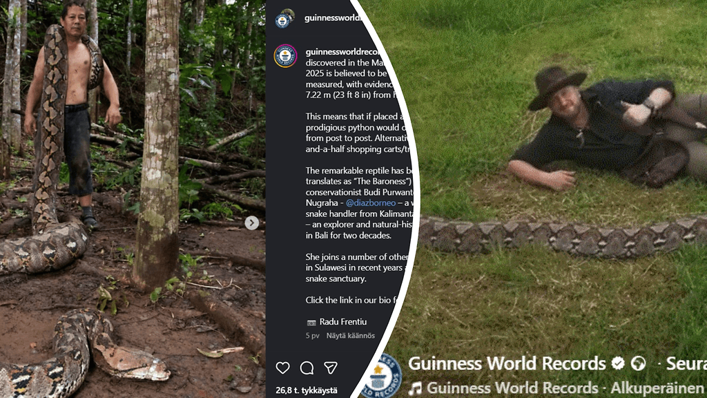 Kuvankaappauksia jättikäärmeen löytymisestä kertovista some-päivityksistä.