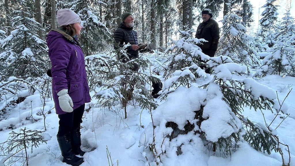 Pöllötutkimus, Harviala