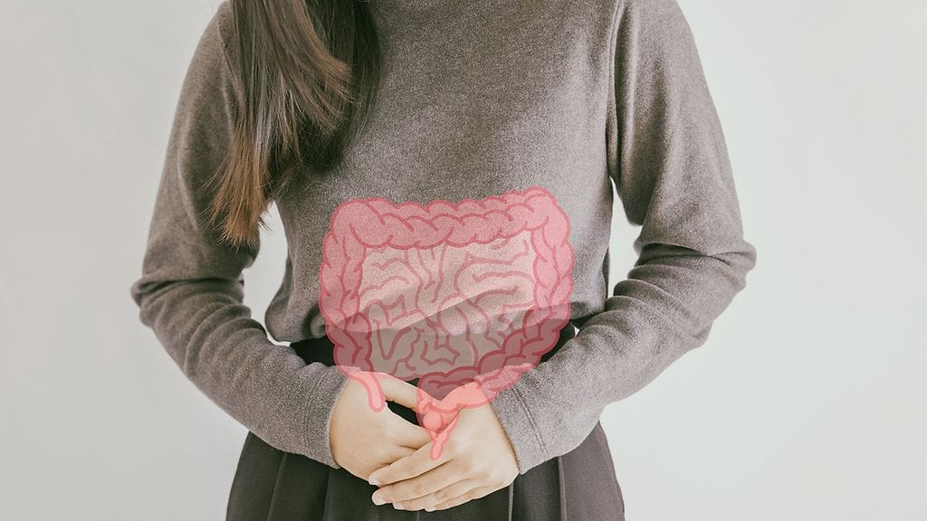 Suolistomikrobistoa voi verrata jalkapallojoukkueeseen. Kun kentältä puuttuu pakki, ei joukkue pelaa niin hyvin kuin silloin, kun pakki on paikalla. Samoin käy suolistossa, kun eri mikrobit eivät ole tasapainossa keskenään.