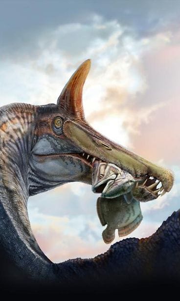 taiteilijan näkemys siitä, miltä Spinosaurus mirabilis on aikanaan näyttänyt