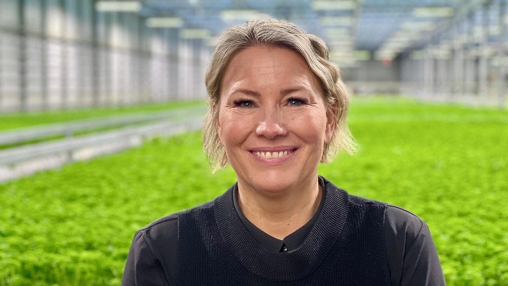 maajussille_morsian_k19_Jetta_03