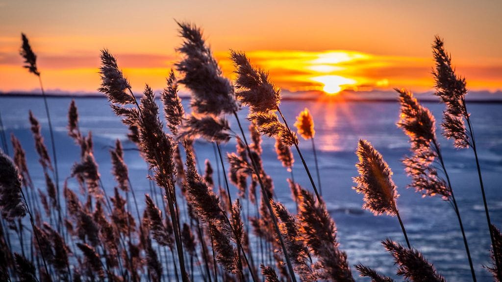 Maaliskuuhun mahtuu myös aurinkoisia hetkiä. Kuvituskuva.