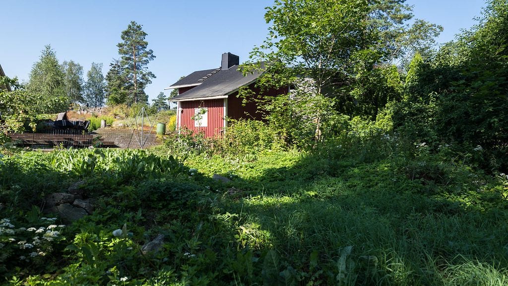 Kotoisa_S08_eps1_ek_12