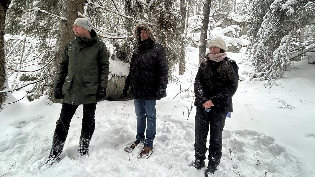 Ilvestutkimus, tutkijat