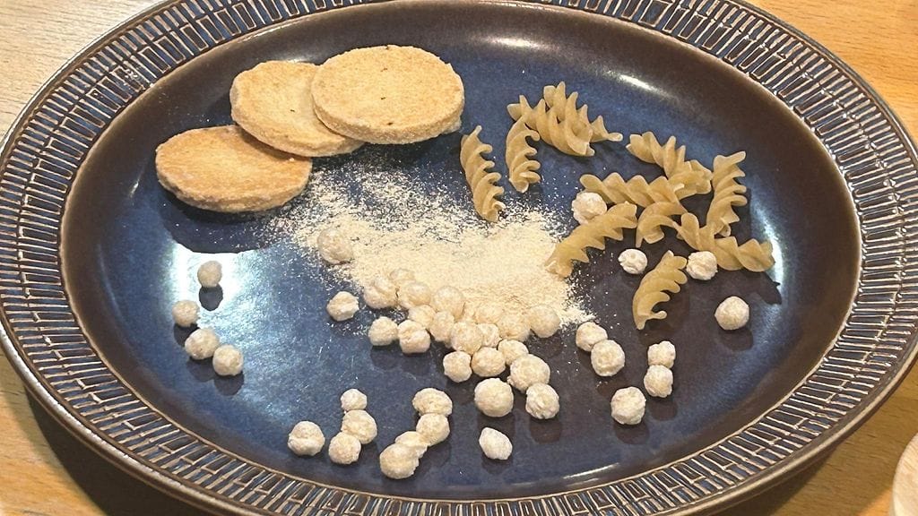 Enifer, sieniproteiini