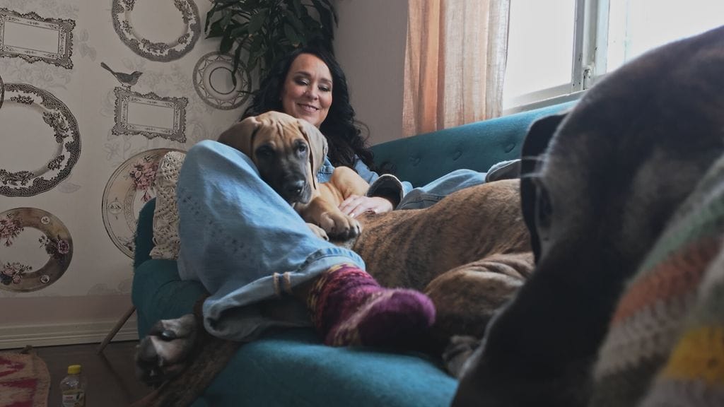 Pikkutassujen_tepastelua-8