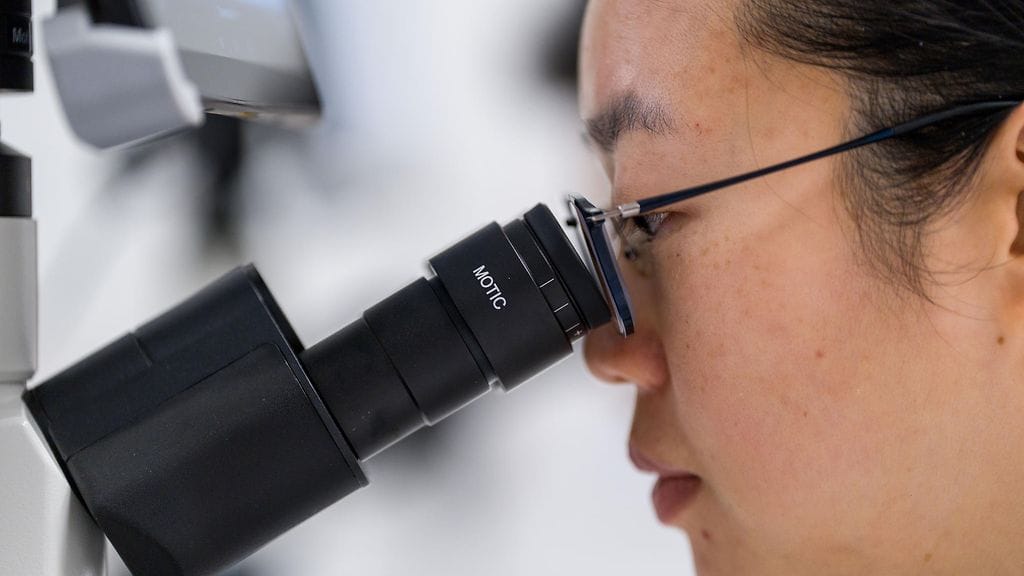 Haimasyövän ennuste on huono. Tutkijat pyrkivät uudella toimintamallilla muuttamaan tilanteen. Kuvituskuva.