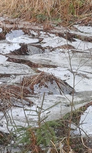 Mäntyharjulainen Hannu Heikkilä kuvasi kotinsa lähellä kauniin jääilmiön maaliskuussa 2026. 2