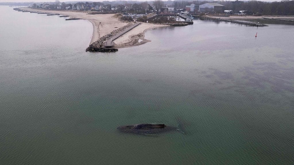 Ilmakuva näyttää ryhävalaan jumittuneena Itämerellä Lübeckin lähellä Pohjois-Saksassa tiistaina.