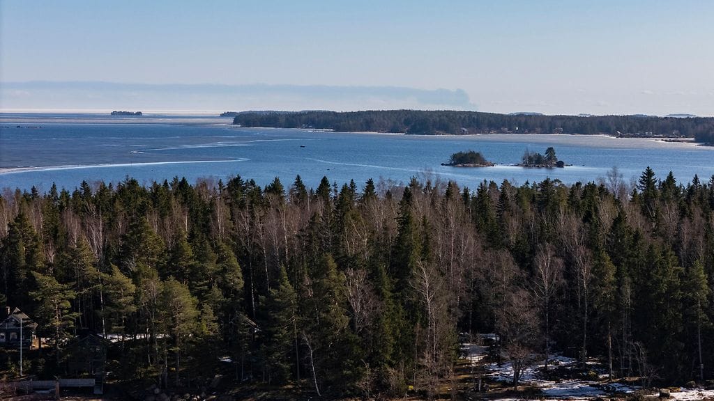 Ust Luga savu OSTETTU LEHTIKUVA
