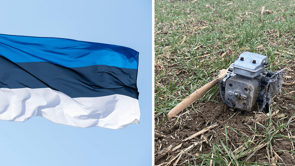 Tartumaalta Kastren kunnasta löytyi drooninkappaleita.