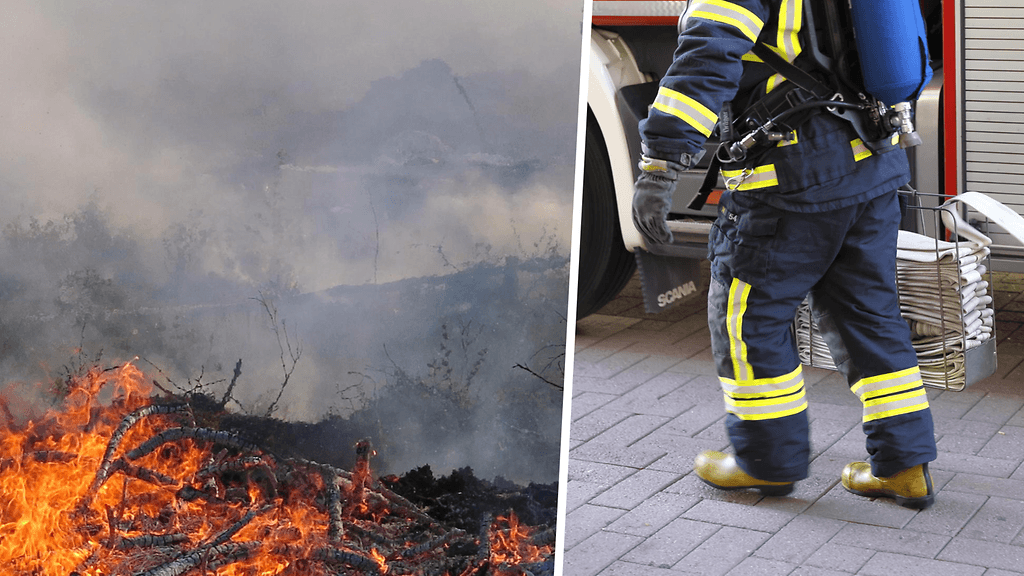 Palomestarin mukaan tuli kannattaa aina jättää tekemättä.