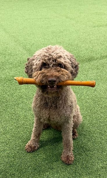 Marketta Kivimäki Signe