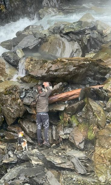 Molly-koira pelastettiin erämaasta Uudessa-Seelannissa. 1