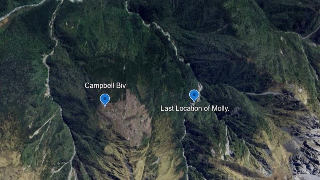 Molly-koira pelastettiin erämaasta Uudessa-Seelannissa. 3