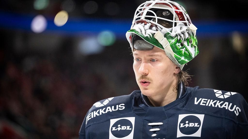 Emil Larmi on tuttu kasvo myös Leijonista.